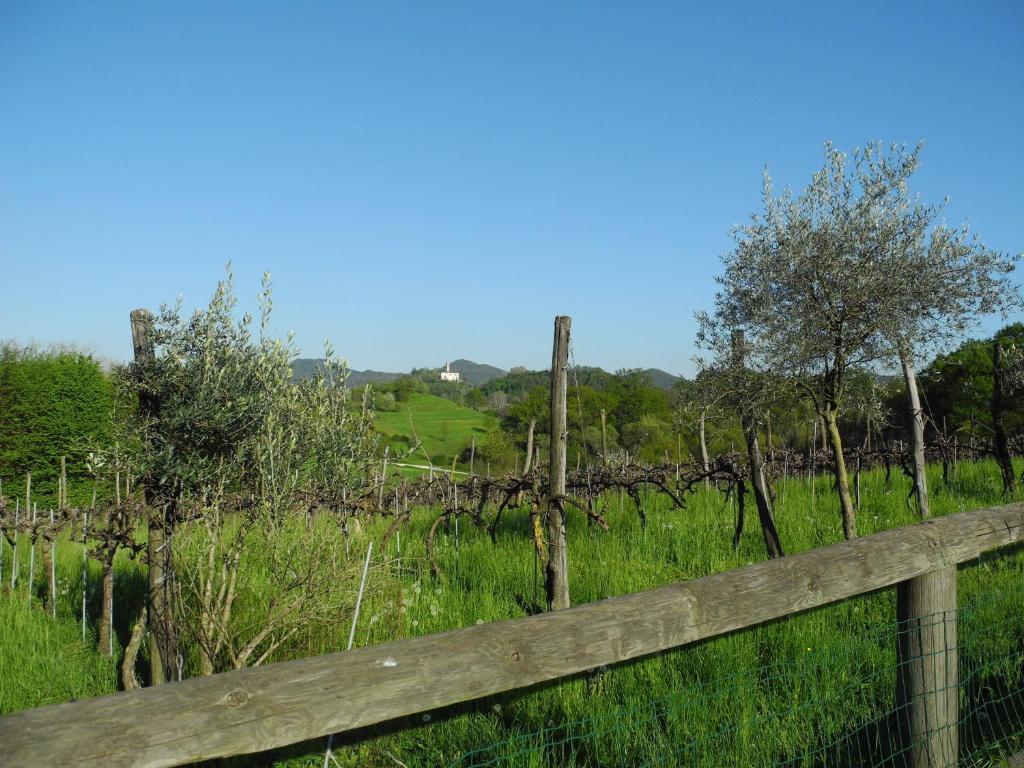 Castelcucco Agriturismo Cornolere 빌라 외부 사진